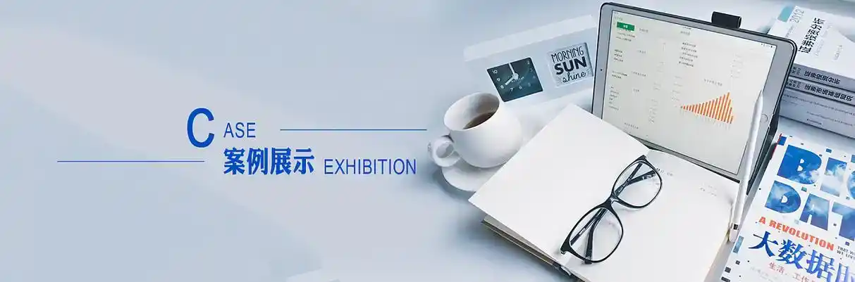 广平县软件开发